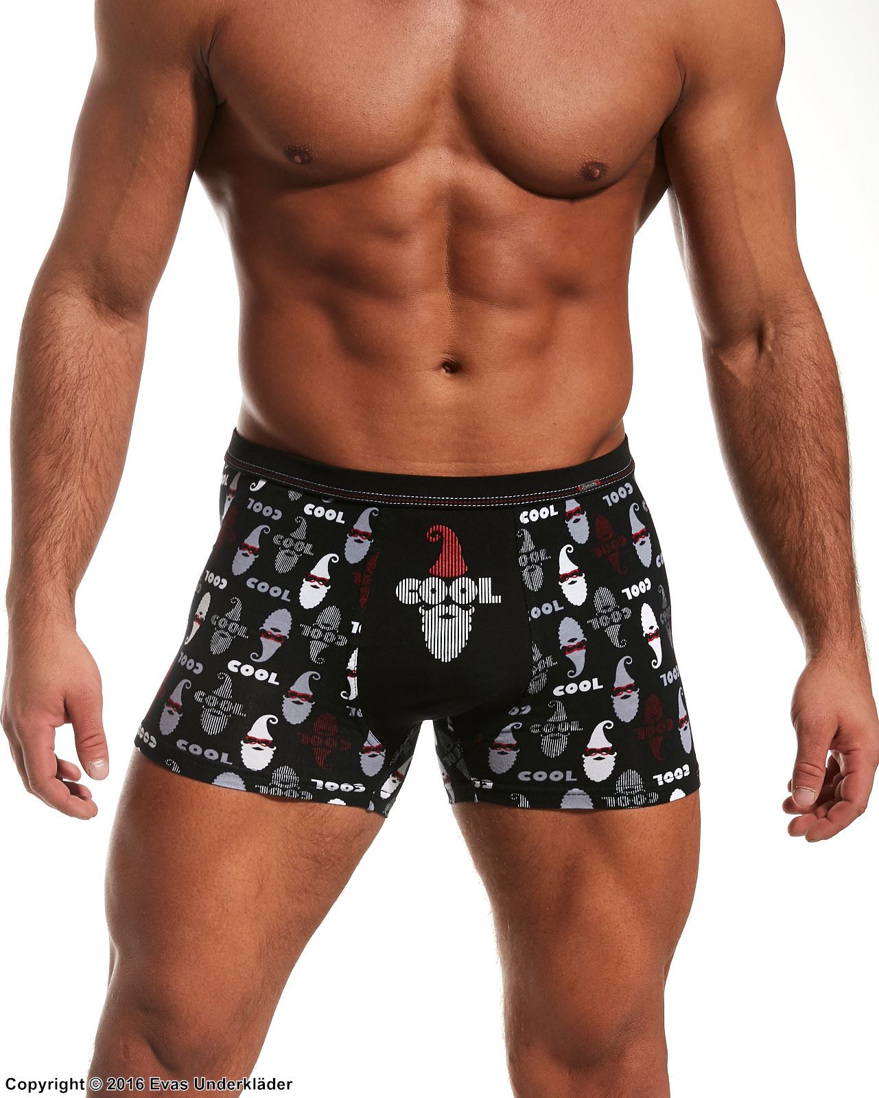 Boxershorts, Juletema